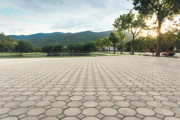 Best Driveway Paving Near Me  in Timnath, CO